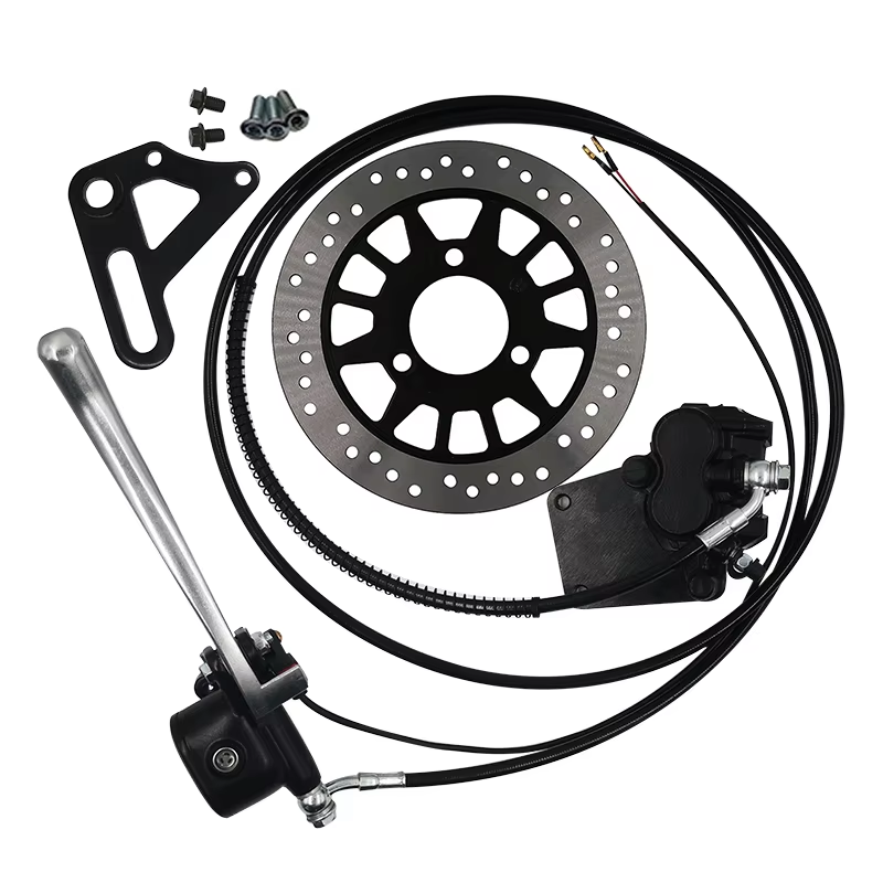 QS273 13 Inch 8000W 72V 120KMH - Qs273 Hub Motor 8000W 72V 评论和价格